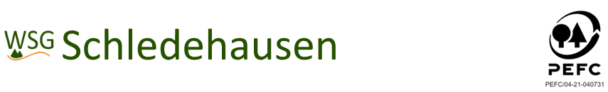 WSG Schledehausen